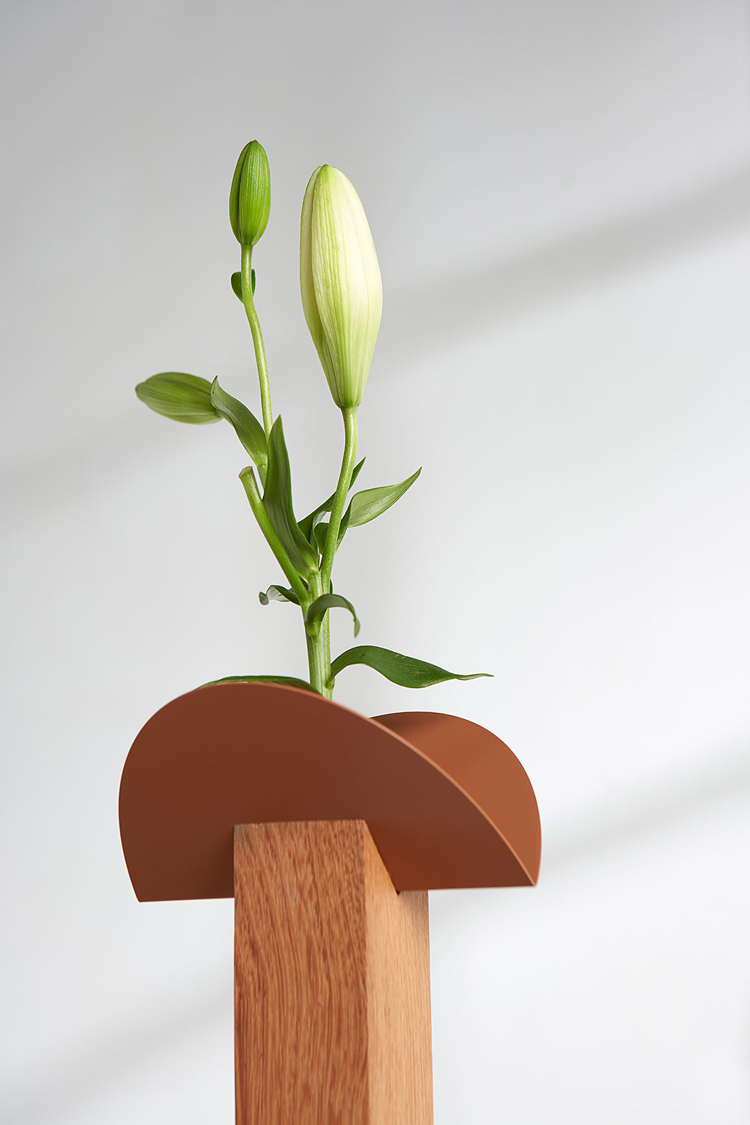 Coleção Cangaço - Vaso G - Madeira Natura - Cúpula Terracota