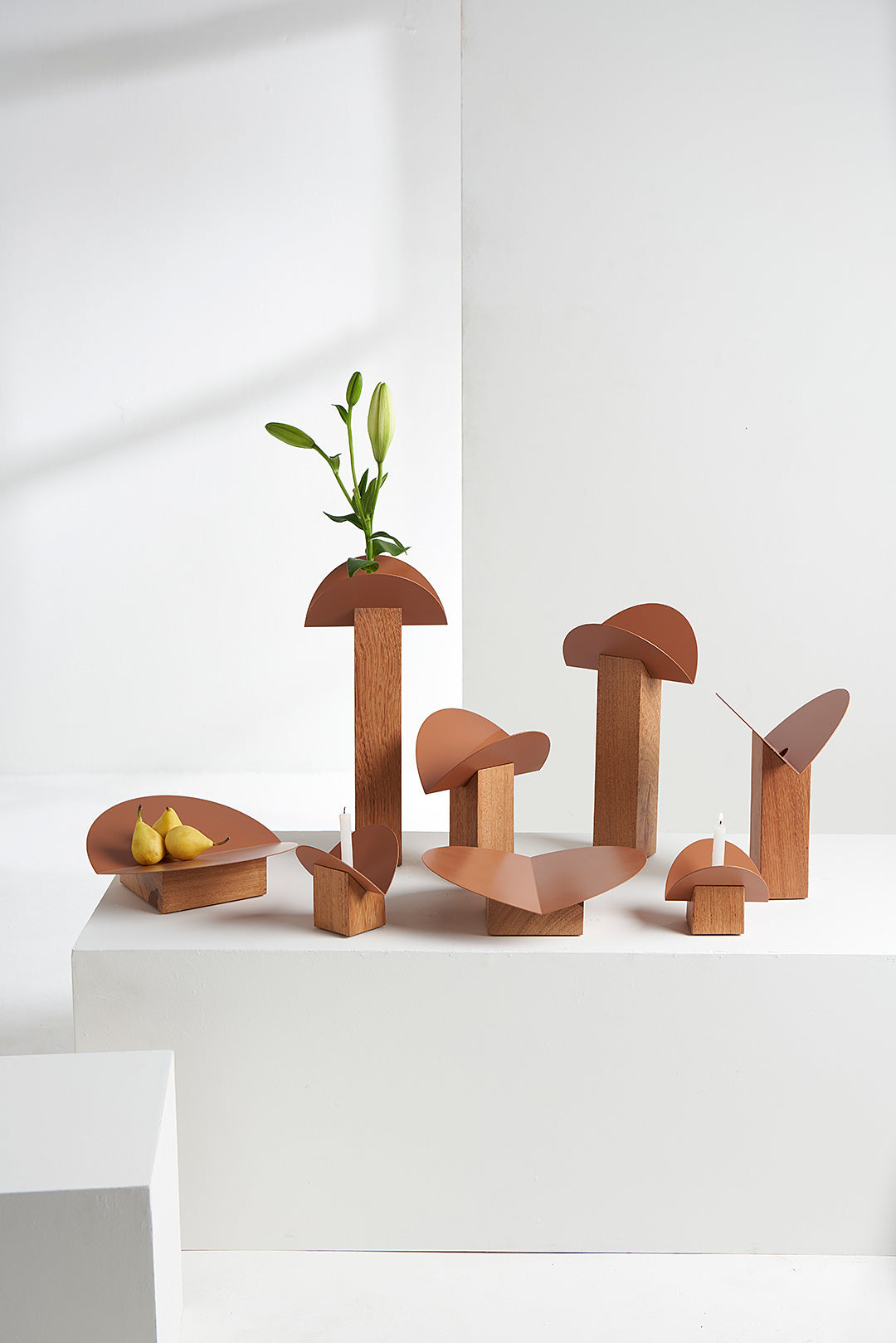 Coleção Cangaço - Vaso M - Madeira Natura - Cúpula Terracota