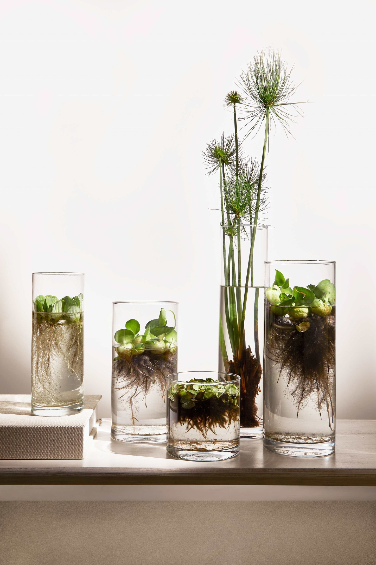 Vaso de chão em vidro 17Ø