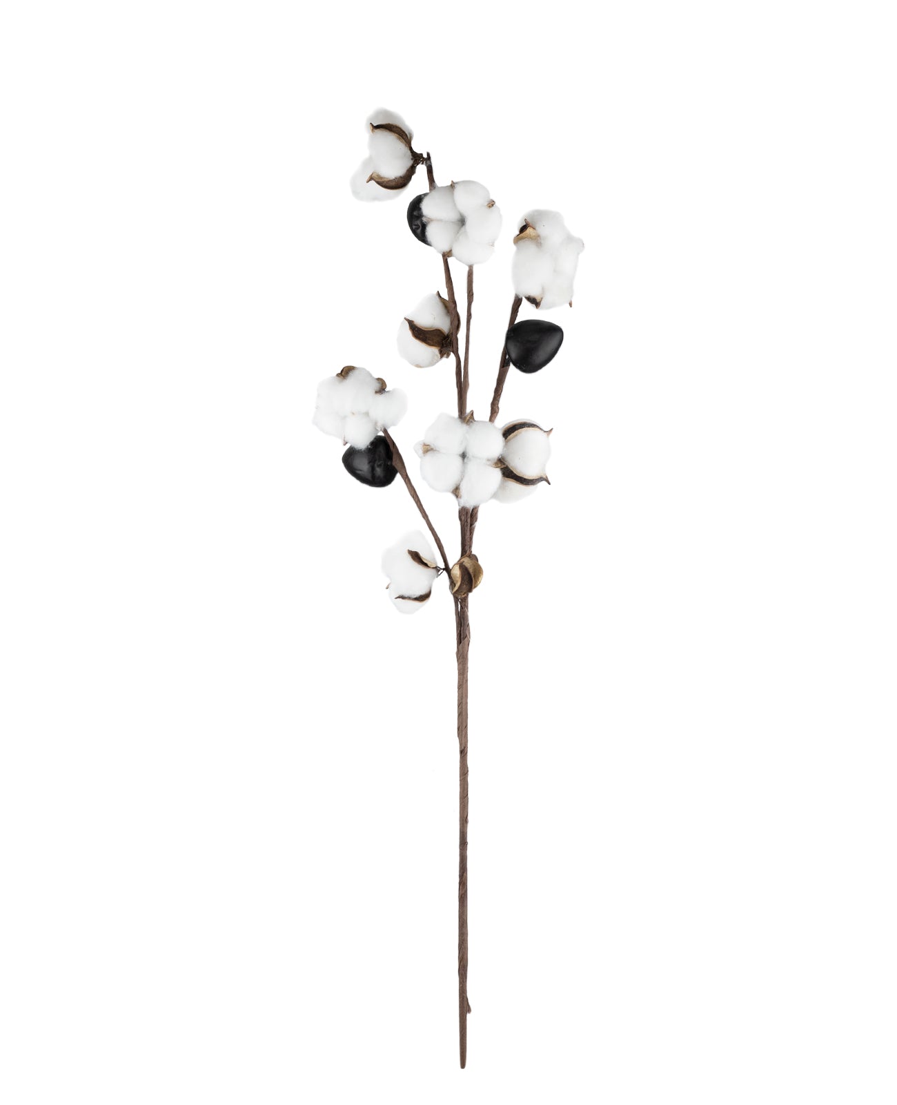 Flor de Algodão com Semente 75cm