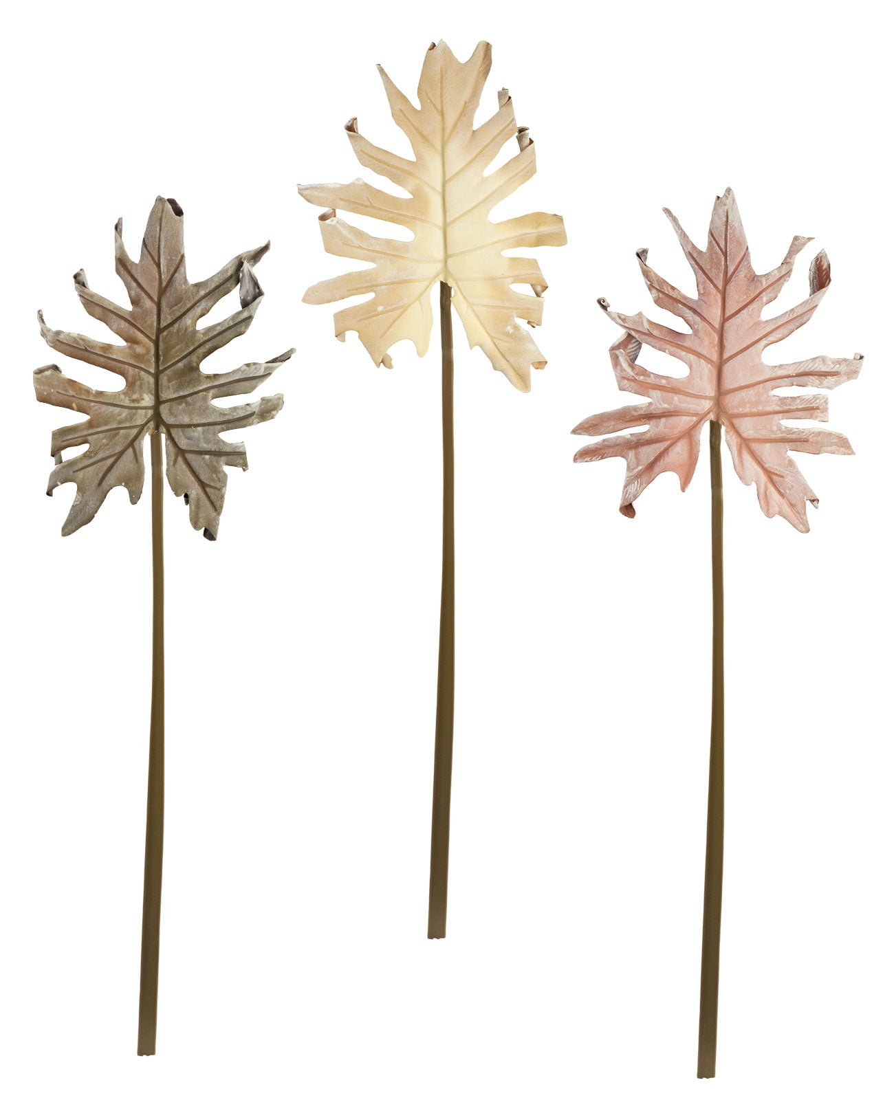 Haste Costela de Adão Guaimbe 76cm