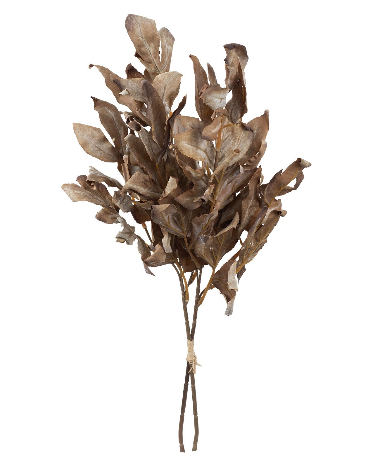 Ramalhete de Folhagem Seco 62cm