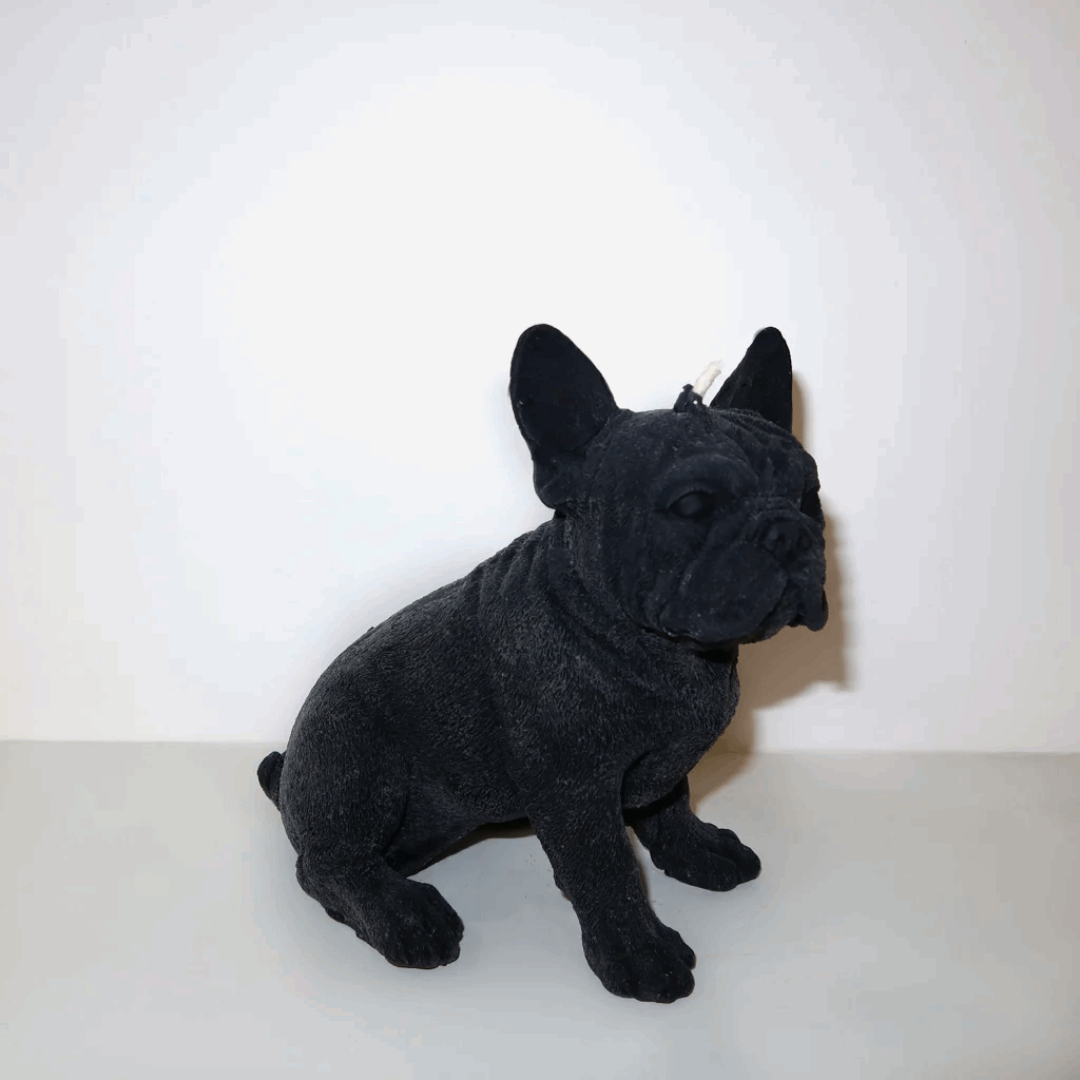 Vela decorativa Branca Bulldog Francês