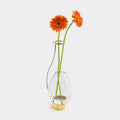 Vaso Decorativo Pollen Hércules Estrutura Polida Base Dourada e Vidro