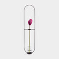 Vaso Decorativo Pollen Helicônia Estrutura Preta e Vidro - P