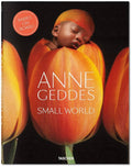 Livro Decorativo Small World