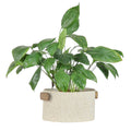 Vaso Decorativo Grit com Textura Areia e Alças Laterais em Madeira - P