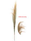 Capim dos Pampas Preservado Artificial 1,5m