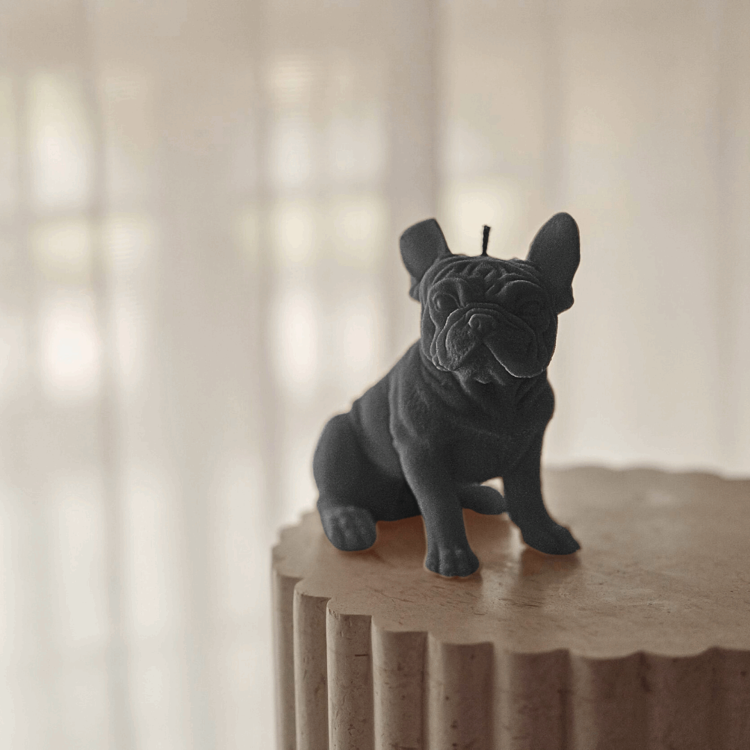 Vela decorativa Branca Bulldog Francês
