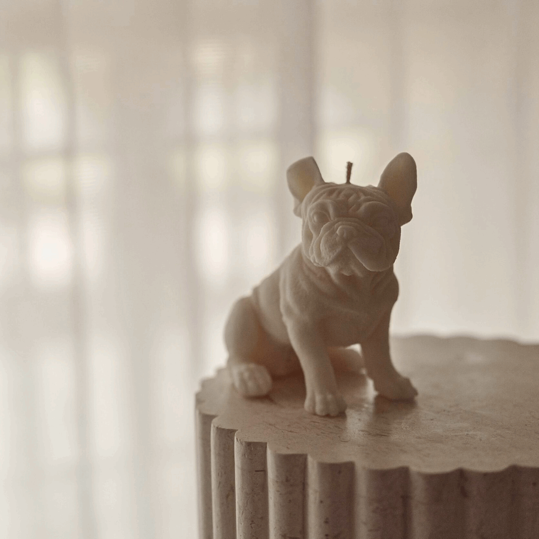 Vela decorativa Branca Bulldog Francês