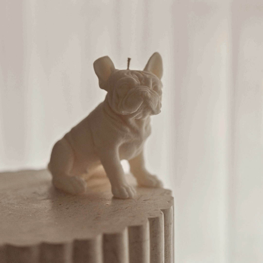 Vela decorativa Branca Bulldog Francês